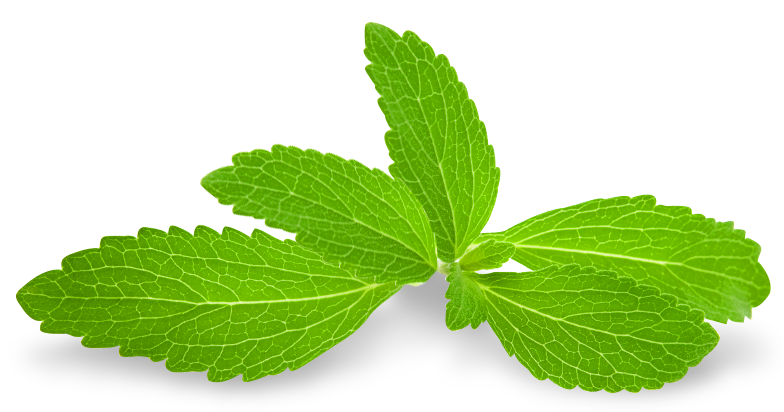 Stevia, the Healthy Sweet