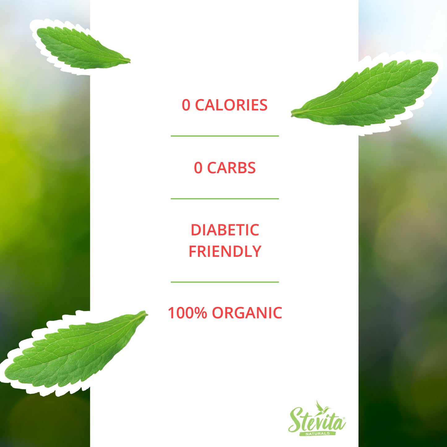 Organic Stevita Drops - Clear Liquid Regular 1.35
