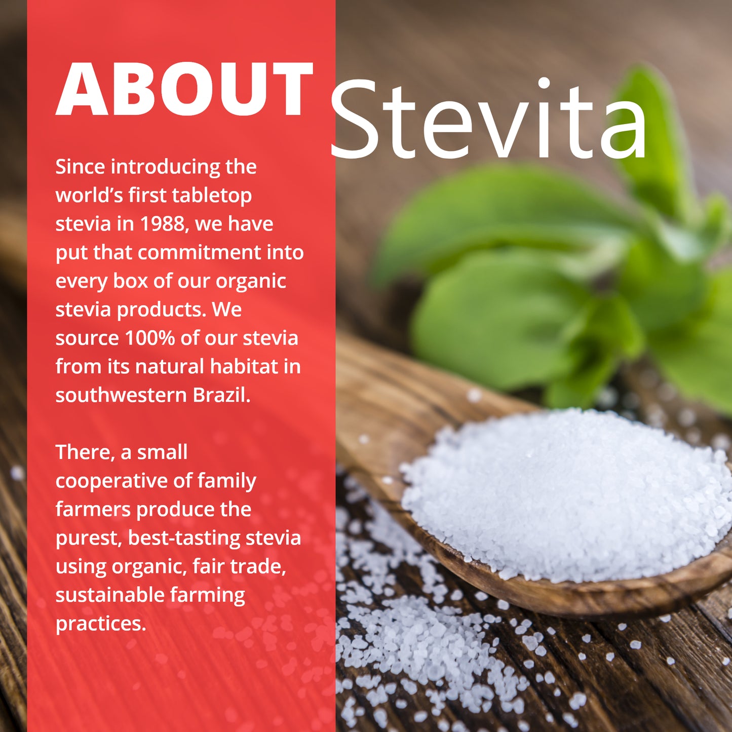Organic Stevita Drops - Clear Liquid Regular 1.35