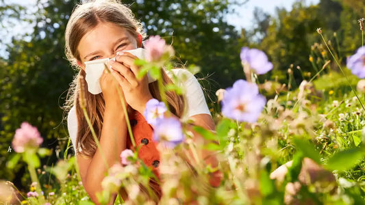 Sweet Relief: Natural Ways to Soothe Spring Allergies - How Sugar-Free Stevia may help sooth Allergic Rhinitis