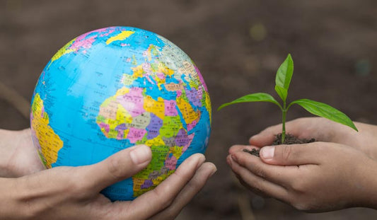 Celebrate Earth Day by Making a Few Green Changes