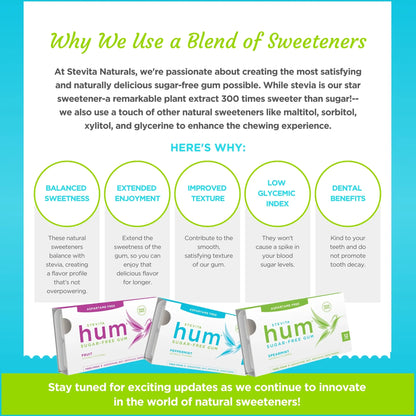 Infographic titled "Why We Use a Blend of Sweeteners" by Stevita Naturals. It highlights benefits of using stevia, maltitol, sorbitol, xylitol, and glycerine in gum. Benefits include balanced sweetness, extended enjoyment, improved texture, low glycemic index, and dental benefits. Image features boxes of sugar-free gum in fruit, peppermint, and spearmint flavors at the bottom. Tone is informative and promotional.