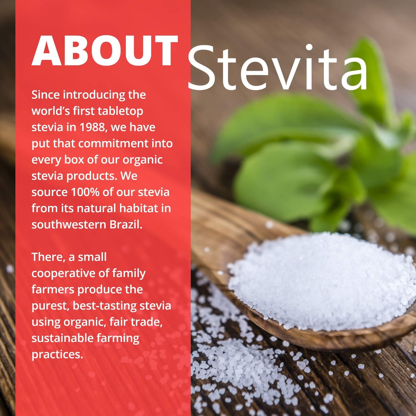 Stevita Hum Gum - Natural Spearmint