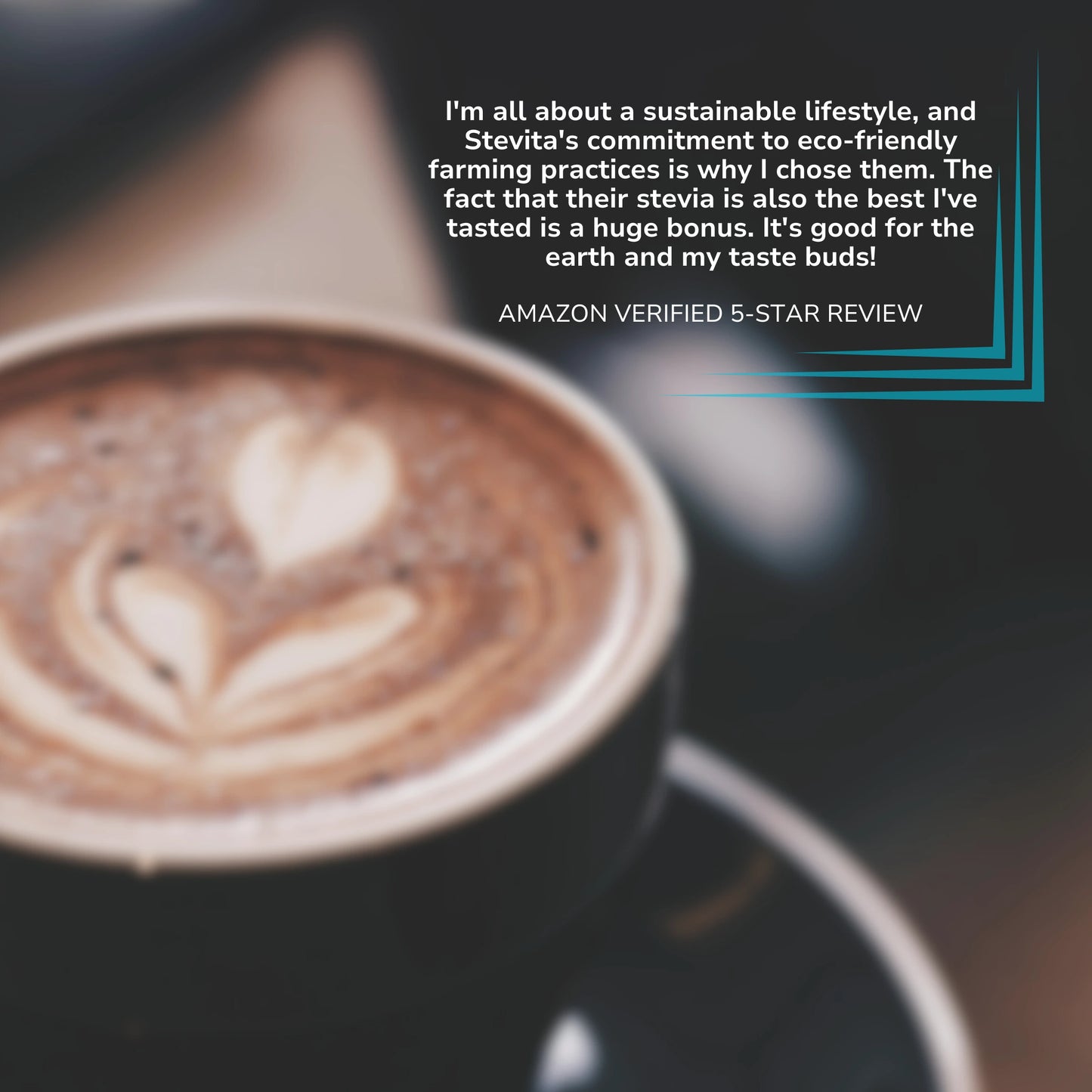 Stevita Erythritol-Free Stevia & Allulose: 16x Sweeter