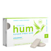 Stevita Hum Gum: Enjoy Natural Spearmint Sugar-Free Chewing Gum ...