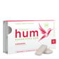 Stevita Hum Gum (formerly Steviadent)- Sugar-Free Gum - Natural  Cinnamon