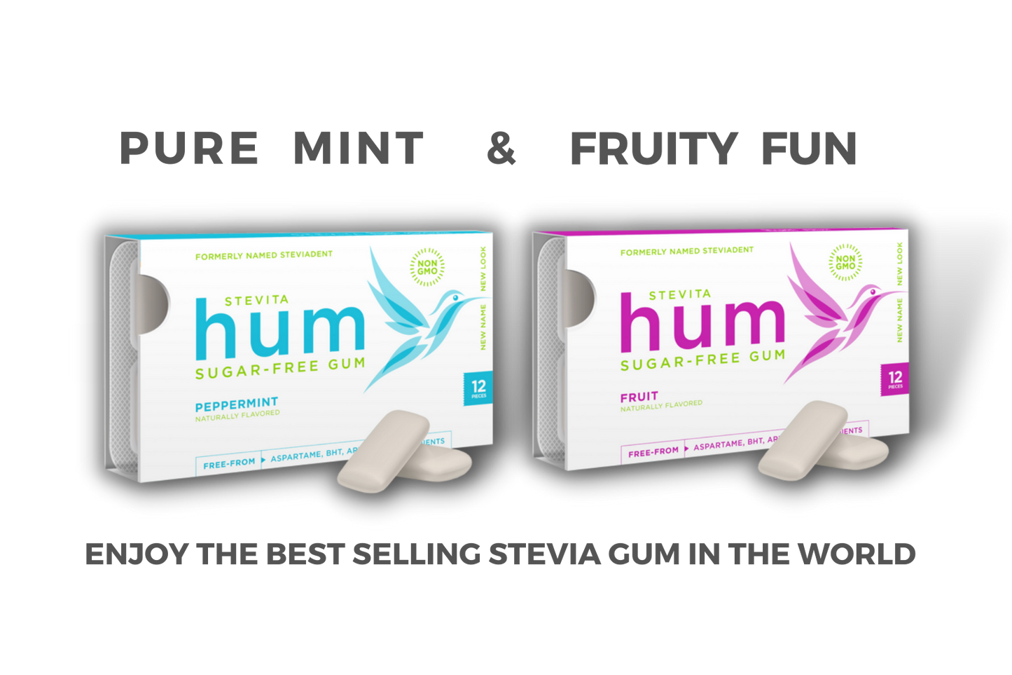 1-Peppermint Gum Sleeve, 1-Fruit Gum Sleeve, Sugar-Free Naturally Sweetened